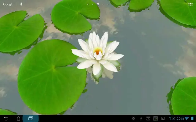 3D Lotus Free android App screenshot 4